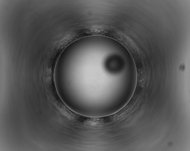 X0000098090563200804041222