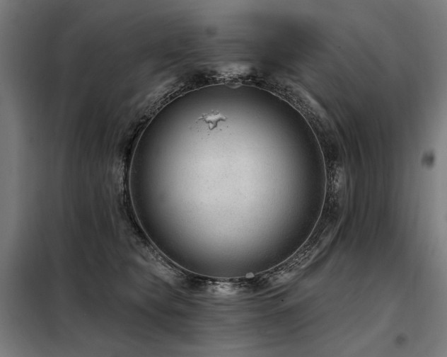X0000098090565200804041222