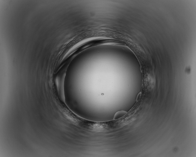 X0000098090566200804041222