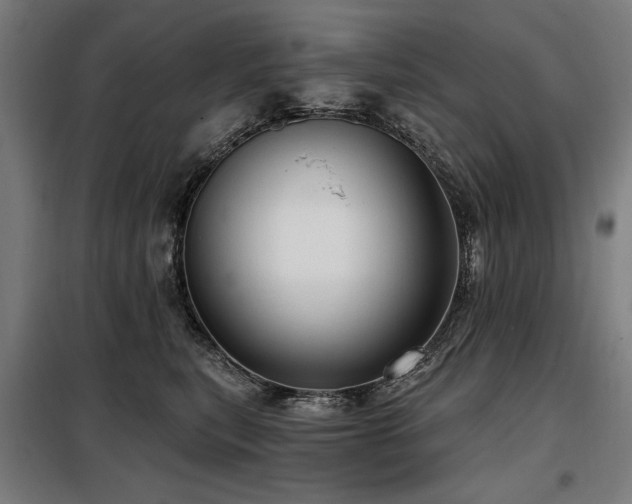 X0000098090567200804041222