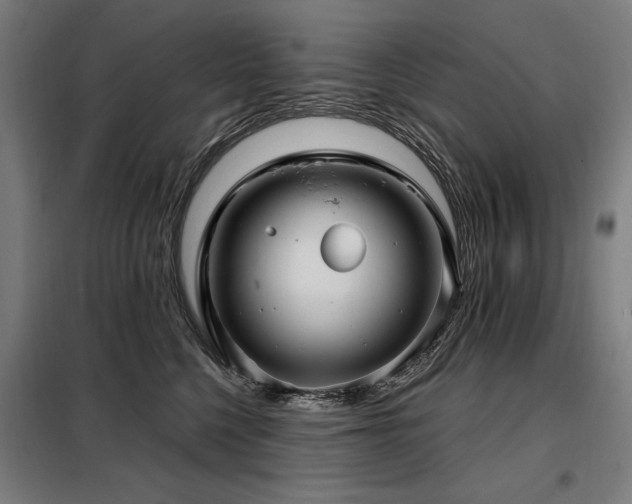 X0000098090568200804041222