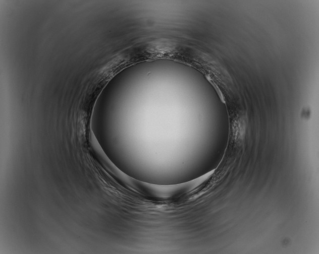 X0000098090570200804041222