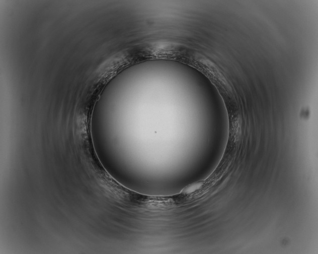 X0000098090571200804041222