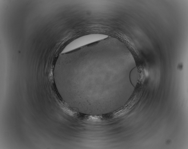 X0000098090573200804041222
