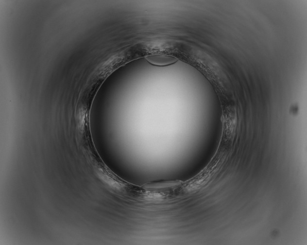 X0000098090574200804041222