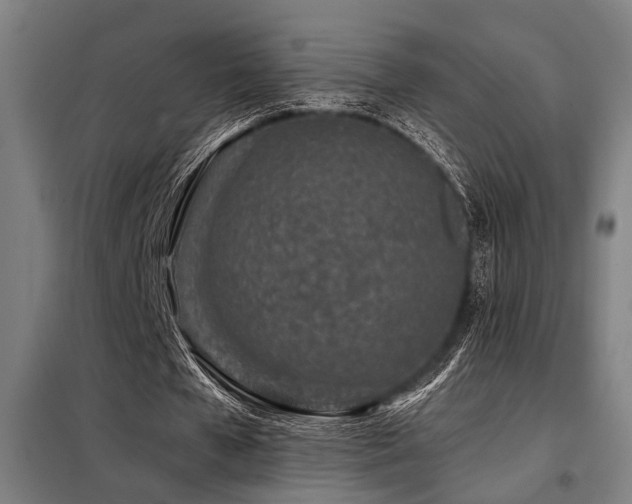 X0000098090577200804041222