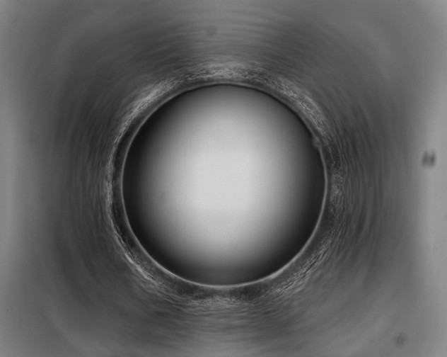X0000098090578200804041222