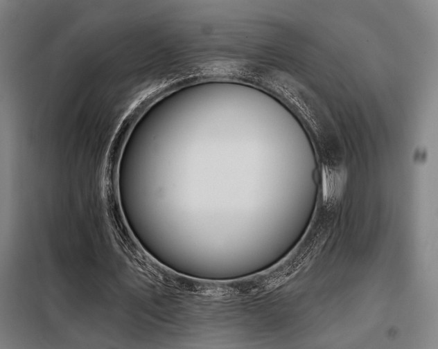 X0000098090579200804041222