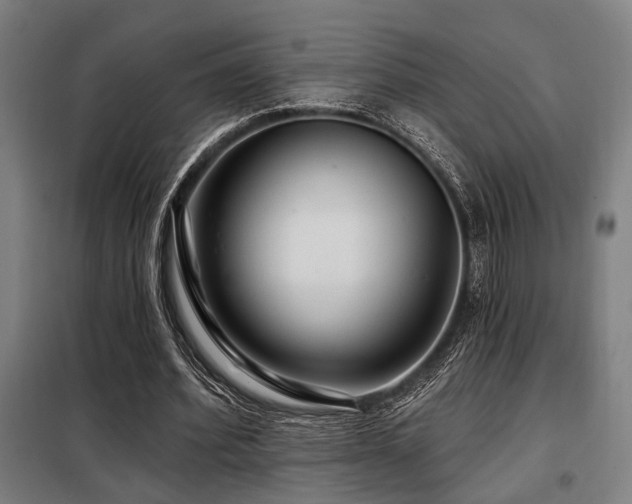 X0000098090580200804041222