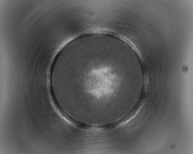 X0000098090581200804041222