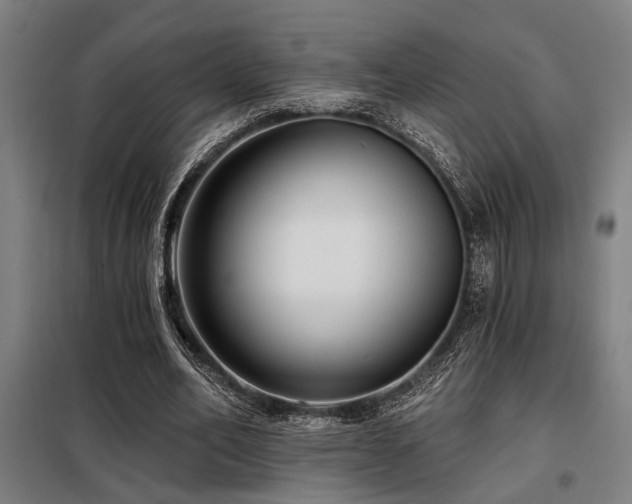 X0000098090582200804041222