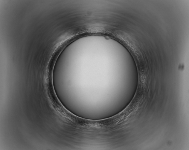 X0000098090583200804041222