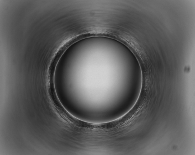X0000098090584200804041222