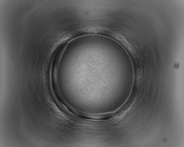 X0000098090585200804041222