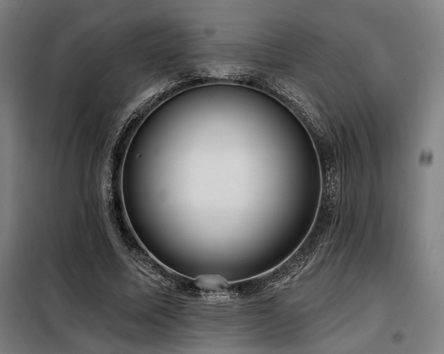 X0000098090587200804041222