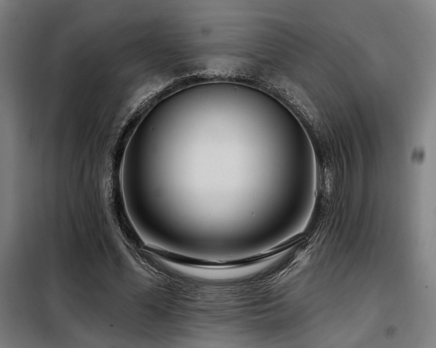 X0000098090588200804041222