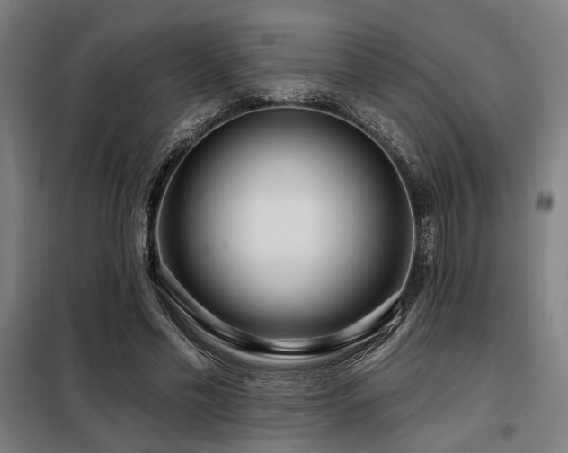 X0000098090589200804041222