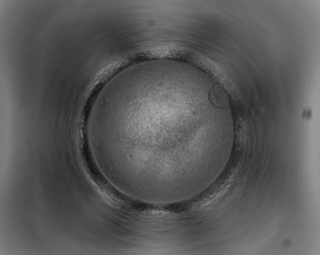X0000098090590200804041222