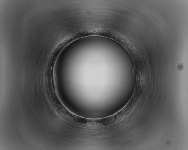 X0000098090591200804041221