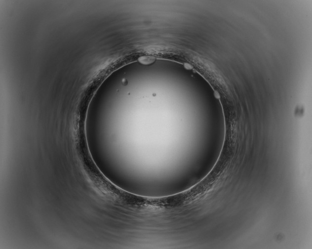 X0000098090592200804041221