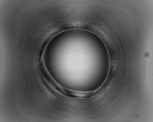 X0000098090593200804041221