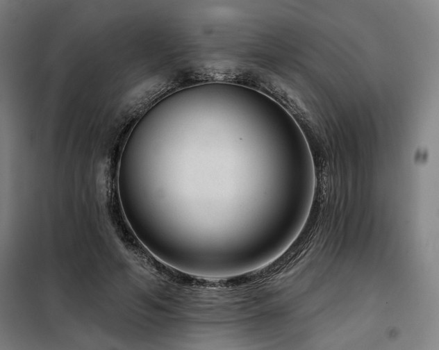 X0000098090594200804041221