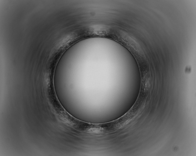X0000098090595200804041221