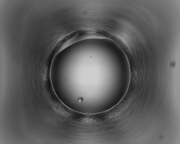 X0000098090596200804041221