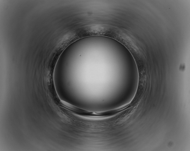 X0000098090597200804041221