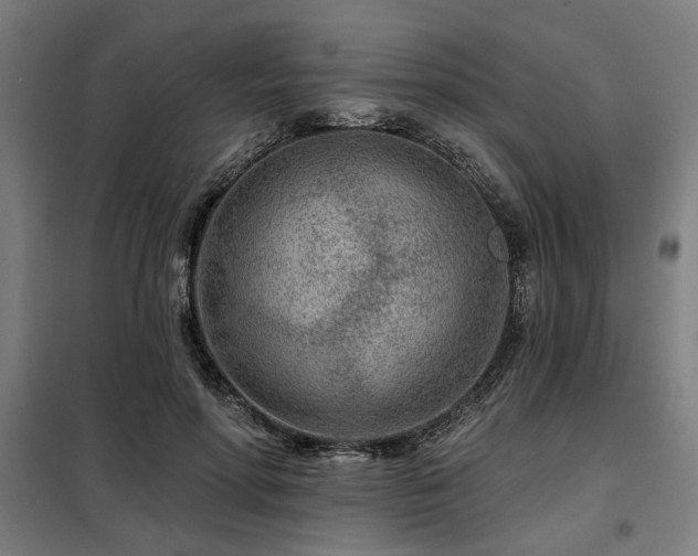 X0000098090598200804041221