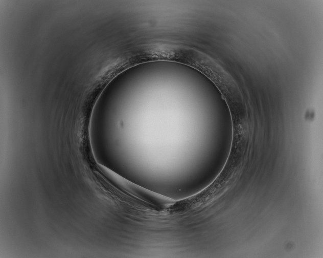 X0000098090600200804041221