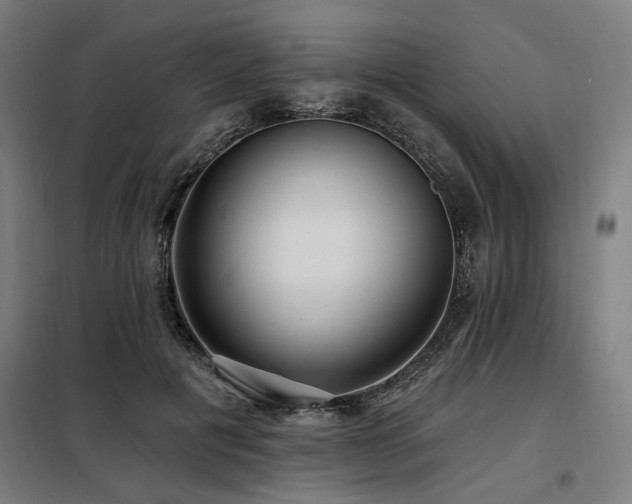 X0000098090601200804041221