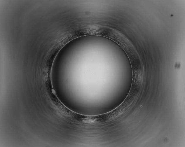 X0000098090602200804041221
