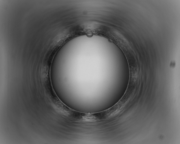 X0000098090603200804041221
