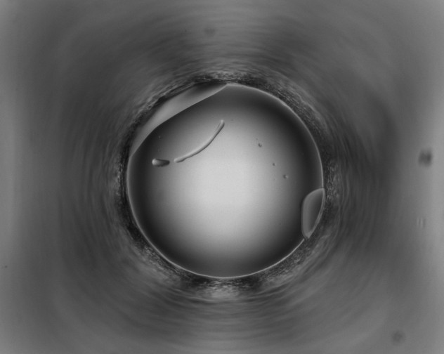 X0000098090604200804041221