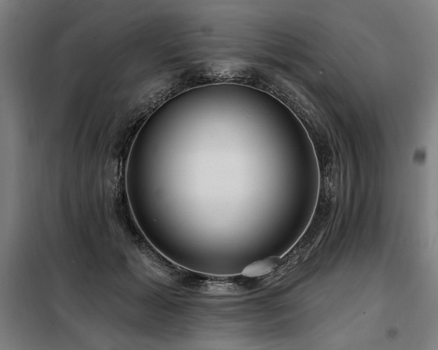 X0000098090605200804041221