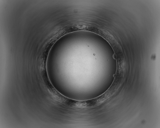 X0000098090606200804041221