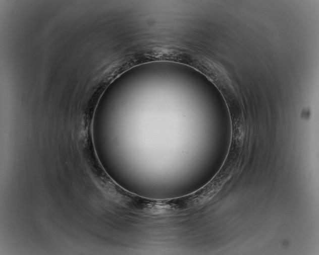 X0000098090607200804041221