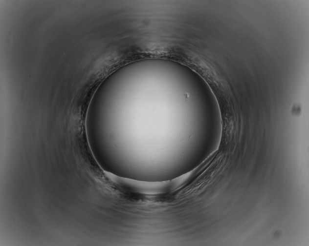 X0000098090609200804041221