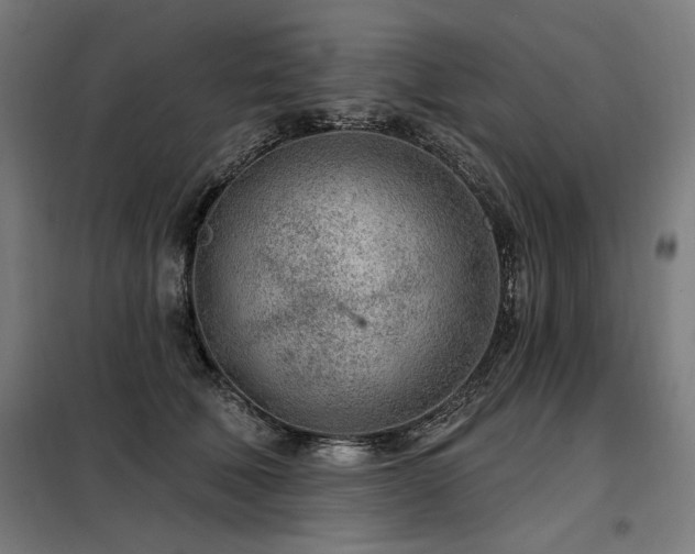 X0000098090610200804041221