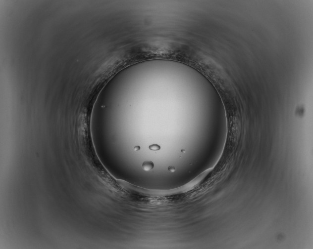 X0000098090612200804041221