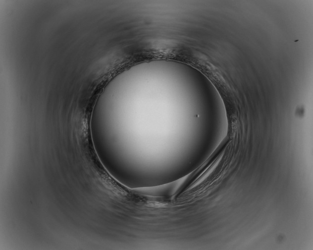 X0000098090613200804041221