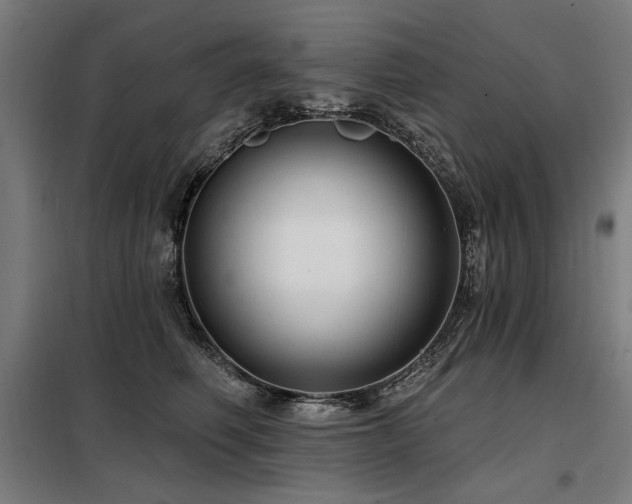X0000098090614200804041221