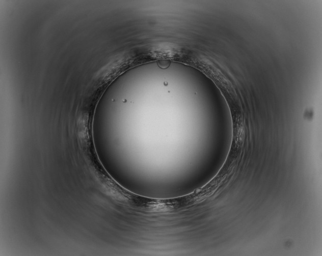 X0000098090616200804041221