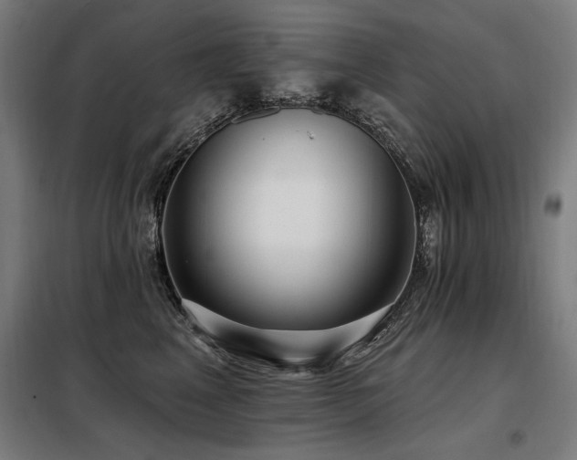 X0000098090617200804041221