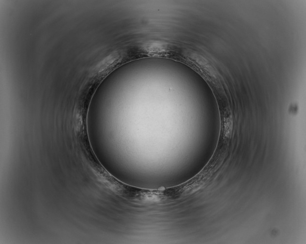 X0000098090618200804041221
