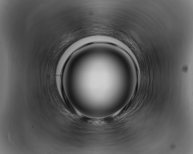 X0000098090621200804041221