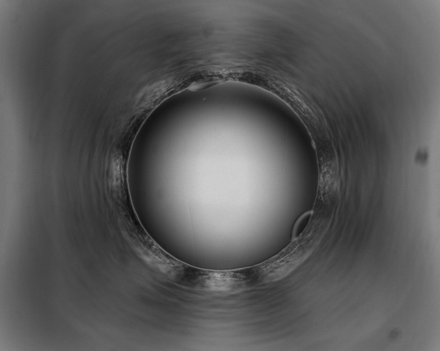 X0000098090623200804041221