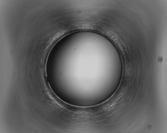 X0000098090625200804041220