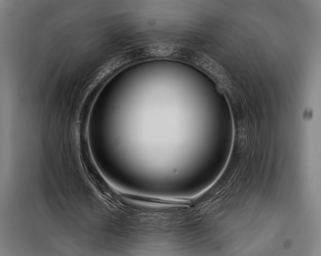 X0000098090626200804041220